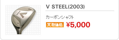 V STEEL(2003)
