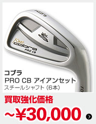 コブラ PRO CB アイアンセット スチールシャフト（6本）