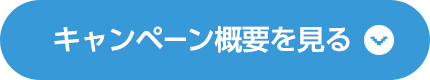 キャンペーン概要を見る