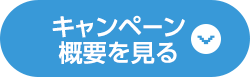 キャンペーン概要を見る